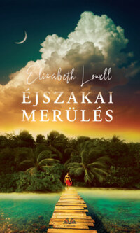 Elizabeth Lowell: Éjszakai merülés -  (Könyv)