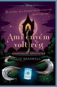 Liz Braswell: Disney - Ami enyém volt rég - Sorsfordító történetek -  (Könyv)