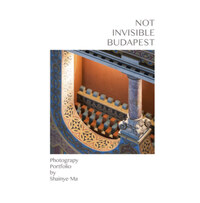 Not Invisible Budapest -  (Könyv)