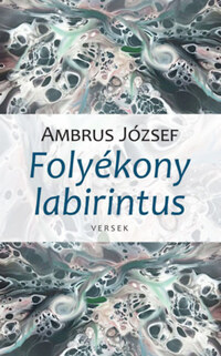 Ambrus József: Folyékony labirintus -  (Könyv)