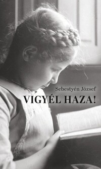 Sebestyén József: Vigyél haza! -  (Könyv)