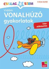 Vidám vonalhúzó gyakorlatok - Írás-előkészítés - Íráselőkészítés -  (Könyv)