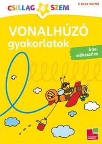 Birgit Fuchs: Vonalhúzó gyakorlatok - Írás-előkészítés - Íráselőkészítés -  (Könyv)