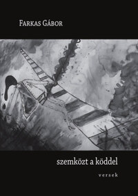 Farkas Gábor: Szemközt a köddel -  (Könyv)