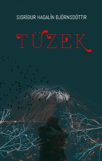 Sigrídur Hagalín Björnsdóttir: Tüzek -  (Könyv)