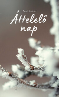 Acsai Roland: Áttelelő nap -  (Könyv)