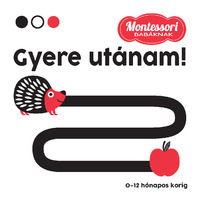 Gyere utánam - Montessori babáknak -  (Könyv)