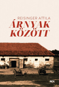 Reisinger Attila: Árnyak között -  (Könyv)