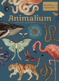 Jenny Broom, Katie Scott: Animalium - Üdvözlünk a múzeumban! -  (Könyv)