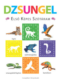 Dzsungel - Első képes szótáram - Szivacskönyv -  (Könyv)