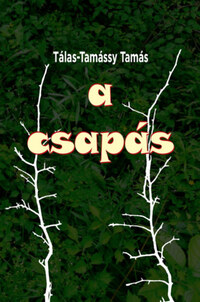 Tálas-Tamássy Tamás: A csapás -  (Könyv)