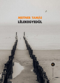 Meitner Tamás: Lélekegyedül -  (Könyv)