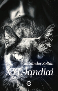 Gál Sándor Zoltán: XYL-landiai -  (Könyv)