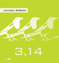 Juhász Róbert: 3,14 -  (Könyv)