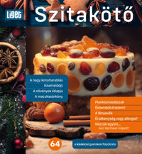 Szitakötő 2023/64. - A kíváncsi gyerekek folyóirata -  (Könyv)