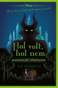 Liz Braswell: Disney - Hol volt, hol nem - Sorsfordító történetek -  (Könyv)