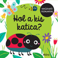 Hol a kis katica? -  (Könyv)