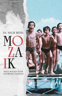 Dr. Ságh Beáta: Mozaik - Avagy hogyan élünk patchwork családban -  (Könyv)