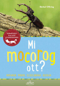 Bärbel Oftring: Mi mocorog ott? - Rovarok, pókok, százlábúak, ászkák -  (Könyv)