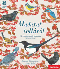 Lauren Fairgrieve: Madarat tolláról - 10 madármodell részletes ismertetővel -  (Könyv)