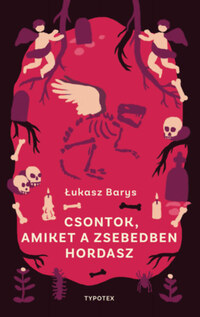 Łukasz Barys: Csontok, amiket a zsebedben hordasz -  (Könyv)