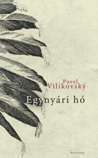 Pavel Vilikovsky: Egynyári hó -  (Könyv)