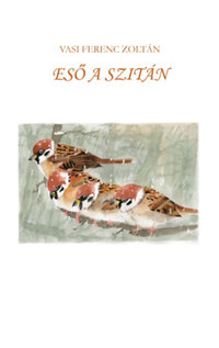 Vasi Ferenc Zoltán: Eső a szitán -  (Könyv)