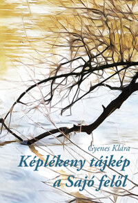 Gyenes Klára: Képlékeny tájkép a Sajó felől -  (Könyv)
