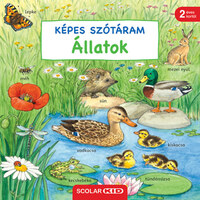 Susanne Gernhauser: Képes szótáram - Állatok -  (Könyv)