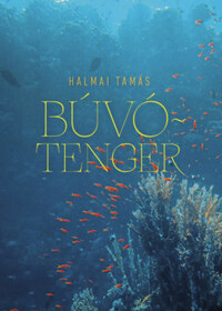 Halmai Tamás: Búvótenger - Esszék, kritikák, olvasatok -  (Könyv)