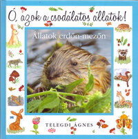 Telegdi Ágnes: Ó, azok a csodálatos állatok! - Állatok erdő-mezőn -  (Könyv)