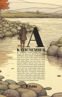 A kavicsember -  (Könyv)