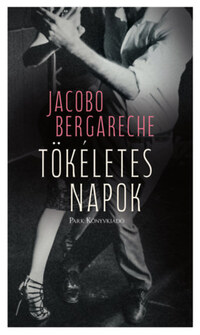 Jacobo Bergareche: Tökéletes napok -  (Könyv)