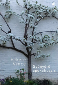 Fekete Vince: Gyönyörű apokalipszis -  (Könyv)