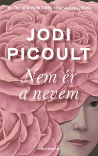 Jodi Picoult: Nem ér a nevem -  (Könyv)