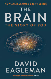 David Eagleman: The Brain -  (Könyv)
