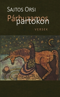 Sajtos Orsi: Párhuzamos partokon -  (Könyv)