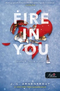 Jennifer L. Armentrout: Fire In You - Benned lobog a tűz - Várok rád 6. -  (Könyv)
