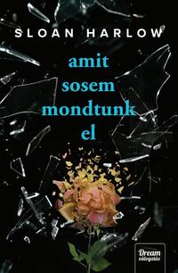 Sloan Harlow: Amit sosem mondtunk el -  (Könyv)