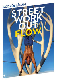 Gödrösi Ádám: Street workout flow -  (Könyv)