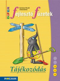 Kriston-Bordi Zsuzsanna: DIFER Fejlesztő füzetek - Tájékozódás - MS-9331V -  (Könyv)