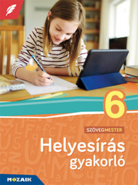 Patonainé Kökényesi Katalin: Helyesírás gyakorló 6. osztály -  (Könyv)