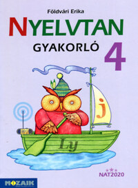 Földvári Erika: Nyelvtan gyakorló 4. osztály - MS-1650U -  (Könyv)