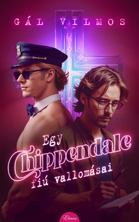 Gál Vilmos: Egy Chippendale-fiú vallomásai -  (Könyv)