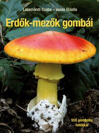 Locsmándi Csaba, Vasas Gizella: Erdők-mezők gombái - 555 gombafaj - fotókkal -  (Könyv)