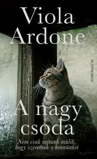 Viola Ardone: A nagy csoda -  (Könyv)