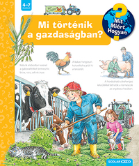 Andrea Erne: Mi történik a gazdaságban? - Mit? Miért? Hogyan? -  (Könyv)
