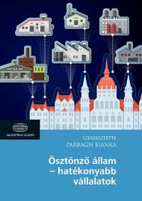 Parragh Bianka: Ösztönző állam - hatékonyabb vállalatok -  (Könyv)