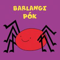 Bartos Erika: Barlangi pók -  (Könyv)