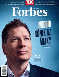 Forbes - 2025. április -  (Könyv)